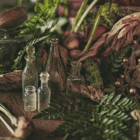 Magic Nature Aesthetic, Forest Magic Aesthetic, D D Aesthetic, Plant Powers Aesthetic, Irish Folklore Aesthetic, Swampcore Aesthetic, Plant Magic Aesthetic, Earth Core Aesthetic, Nature Magic Aesthetic