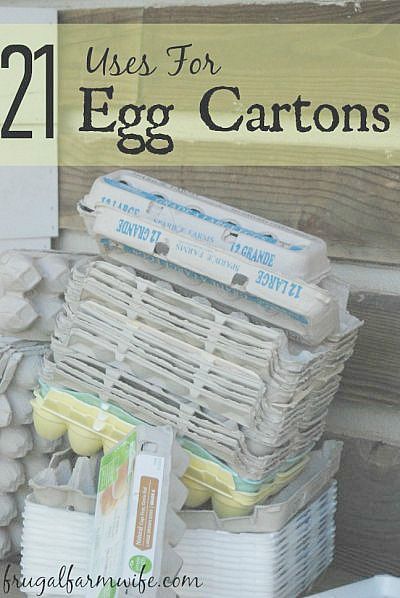 Try these 21 adorable egg carton uses for all those leftover cartons your family has lying around! I love them all but #5 might be my favorite! Egg Carton Uses, Chicken Owner, Micro Greens, Egg Container, Farm Wife, Eat A Lot, Egg Cartons, Egg Crates, Egg Carton Crafts