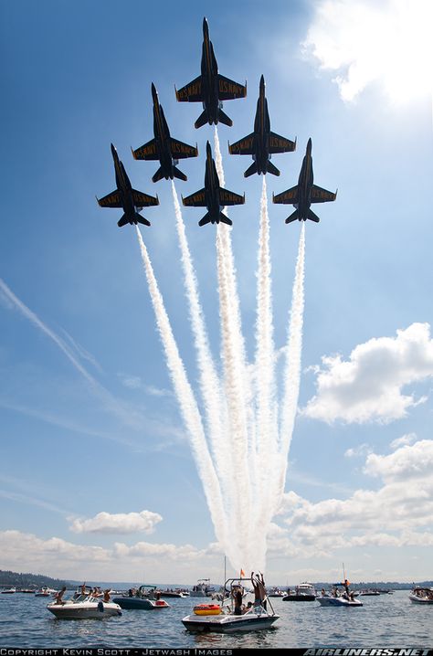 Awesome!! Us Navy Blue Angels, F 16 Falcon, Lake Washington, Military Jets, F 35, Jet Plane, Aircraft Pictures, Blue Angels, Air Show