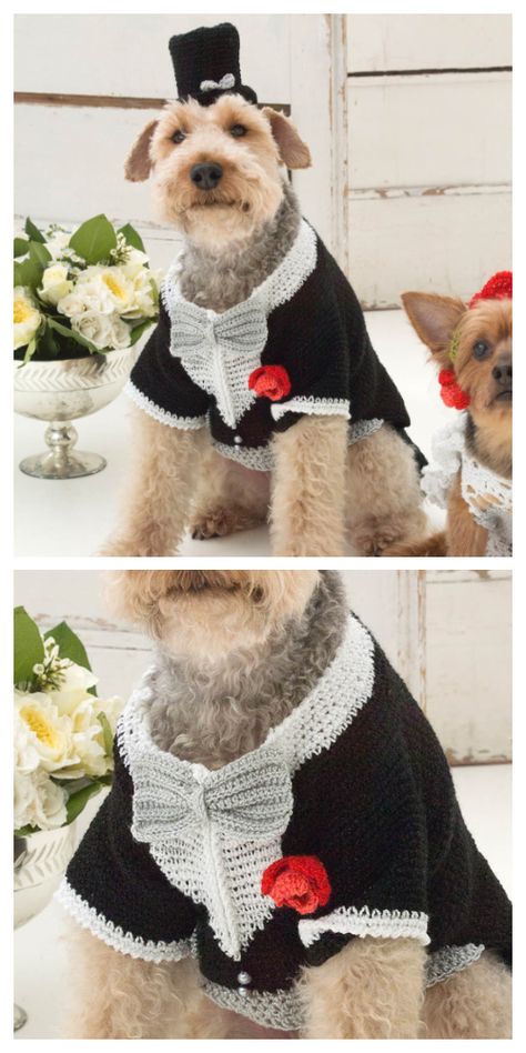 Crochet Dog Tuxedo Pattern, Sweater Patterns Sewing, Crochet Top Hat, Crochet Pets, Beagle Funny, Crochet Puppy, Puppy Diy, Wedding Sweater, Puppy Pics