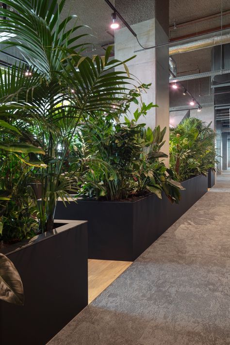 NEW PROJECT This green escape in this newly designed office space is the resting place for the employees of Mendix. The green zone is a safe haven, to take a break and have a mini nature-bath before diving into the next big challenge. Taking moments in greenery like this are proven to improve productivity and can separate people on safe distances. Greenery Office, Plants In Office Space, Plant Office, Office Greenery, Indoor Office Plants, Interior Design Plants, Green Architect, Green Apartment, Stairs Architecture