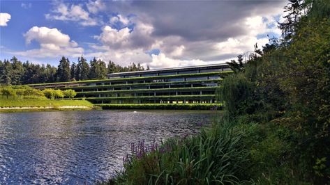 Modern Babylon: Deserted Weyerhaeuser Campus in Federal Way, Washington - Invisible Themepark Federal Way Washington, Hanging Gardens Of Babylon, Style Development, Enchanting Places, Gardens Of Babylon, Hanging Gardens, English Ivy, Florence Knoll, Tacoma Wa