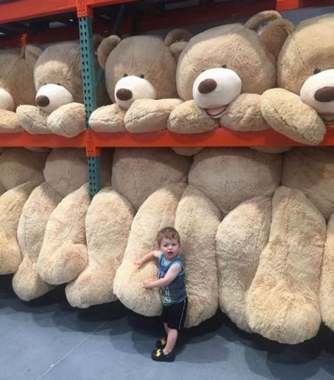 Costco Bear, Huge Teddy Bears, Big Stuffed Animal, Large Teddy Bear, Big Teddy Bear, Big Teddy, Giant Teddy Bear, Giant Teddy, Teddy Bear Pictures