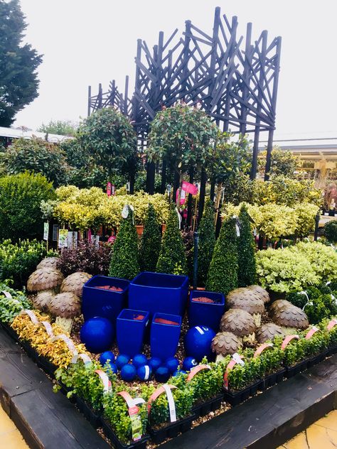 Garden Centre Displays, Topiary Shrubs, Christmas Store Displays, Garden Center Displays, Wholesale Plants, Garden Centers, Farm Nursery, Flower Nursery, Garden Nursery