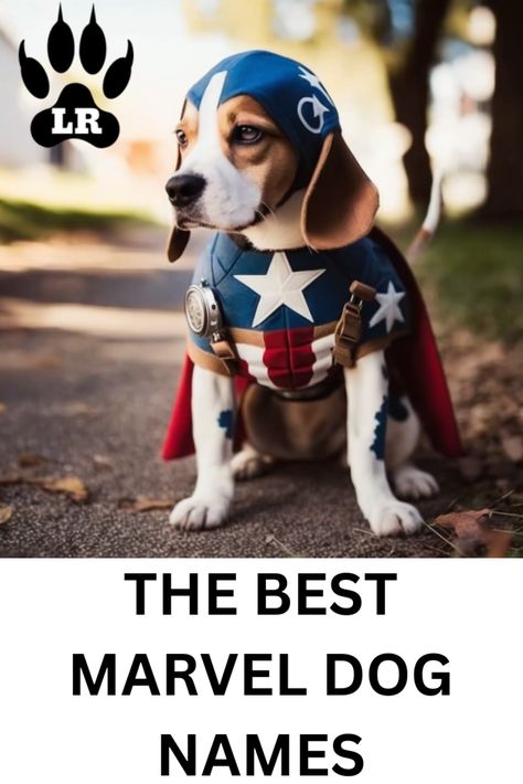 Fantastic Marvel Dog Names | Labrottie.com Marvel Names For Dogs, Marvel Dog Names, Disney Dog Names, Avengers Names, Marvel Names, Dogs Names List, All Disney Villains, Boy Dog Names, Girl Dog Names