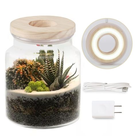 Plant Propagation Station, Fun Planters, Terrarium Jar, Terrarium Plant, Propagation Station, Plant Light, Terrarium Containers, Air Plant Terrarium, Plant Propagation