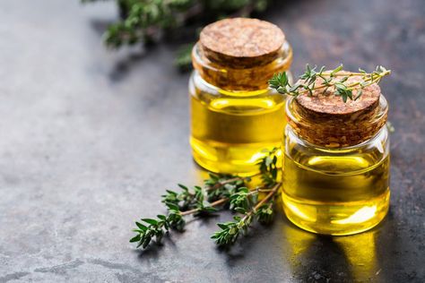 The 7 Best Antibacterial Essential Oils & How to Use Them Thyme Essential Oil Uses, Antibacterial Essential Oils, Thyme Essential Oil, Thyme Oil, Hair Oil Serum, Citrus Essential Oil, Citrus Oil, Eucalyptus Essential Oil, Oil Uses