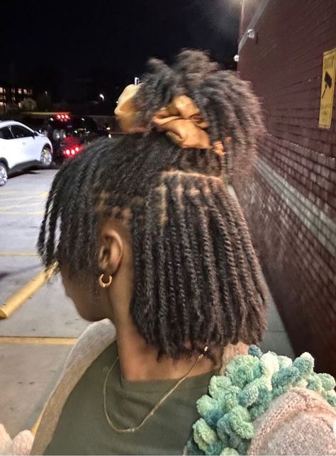 Mini Twists Natural Hair, Natural Hair Stylists, Short Locs Hairstyles, Quick Natural Hair Styles, Hair Twist, Natural Hair Twists, Quick Braided Hairstyles, Twist Styles, Pelo Afro