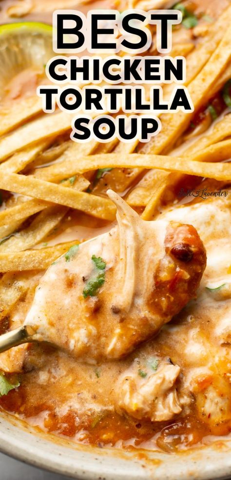 closeup of a spoonful of soup with text overlay that reads best chicken tortilla soup Authentic Chicken Tacos, Easy Chicken Tortilla Soup Recipe, Chicken Breast Tacos, Best Chicken Tortilla Soup, Chicken Tacos Recipe Easy, Tortilla Soup Easy, Chicken Taco Soup Recipe, Tacos Chicken, Tacos Easy