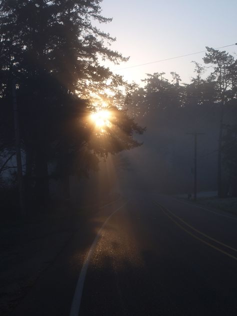 Nature, Morning Dawn Aesthetic, Fog At Dawn, Early Morning Aesthetic Dark, Early Morning Quotes, Early Morning Sky, Surreal Scenery, Month Animals, Early Morning Runs