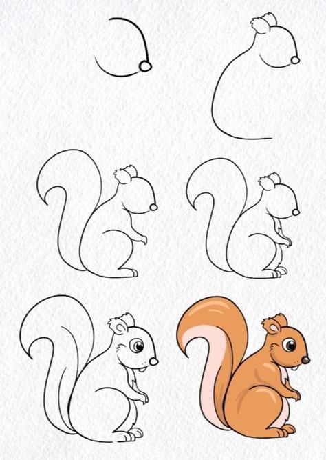 Kids Drawing Easy, Draw A Squirrel, Kids Drawing Ideas, Hedgehog Drawing, Squirrel Art, Directed Drawing, Rock Painting Ideas Easy, A Squirrel