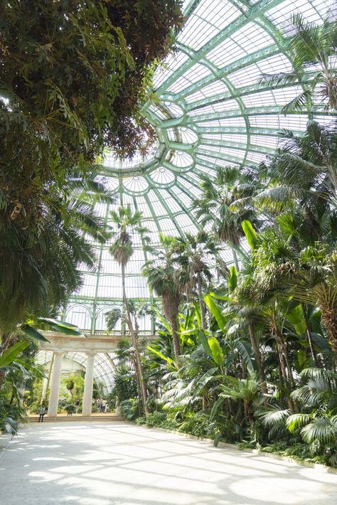 JOELIX.com | Royal Greenhouses of Laeken in Brussels #urbanjunglebloggers Botanical Architecture, Greenhouse Luxury, Royal Greenhouse, Home Greenhouse, Blender 3d, Glass House, Botanical Garden, Pretty Places, Garden Room