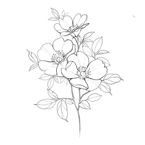 Primrose Drawing Flowers, Posies Flowers Tattoo, Violets And Primroses Tattoo, Wildflowers Tattoo Design, Primrose Tattoo Design, Primrose Flower Drawing, Wild Flowers Tattoo Design, Primrose Drawing, Primrose Flower Tattoo