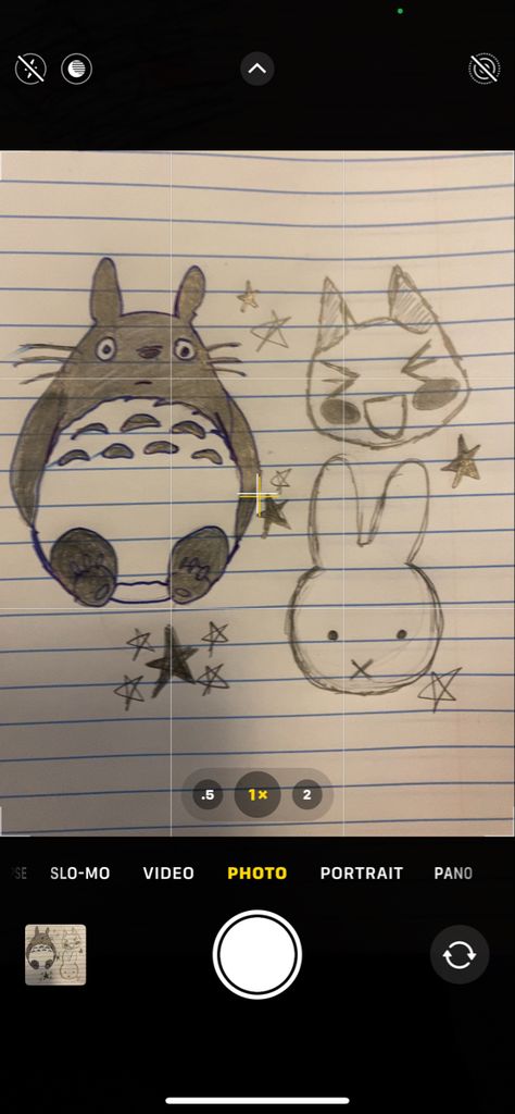 Totoro My Neighbor, Toro Cat Drawing, How To Draw Miffy, Miffy Drawing Aesthetic, Totoro Art Draw, Toro Inoue Drawing, Miffy Sketch, Acubi Drawing, My Neighbor Totoro Drawing