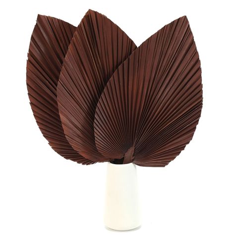 PRICES MAY VARY. PACKAGE: Each bouquet comes with 3 PCS dried brown palm tree leaves and the size of palm leaf is about 10"W x 17"L. Each dried palm is packaged very well. No need to worry about bent or broken leaves bouque DIY BOHO DECOR: As the ideal gift for the bohemian lover, dried fan palms are perfect decoration for boho living room, house, tropical party, hotel, cafes, shop, wedding, new year, Christmas, bar, festival, evening. You can use them to decorate vases, floral decor, tropical b Office Boho Decor, Palm Leaves Decor, Tropical Boho Wedding, Palm Leaf Decor, Dried Wedding Flowers, Office Boho, Tropical Glam, Tropical Wedding Decor, Garage Room