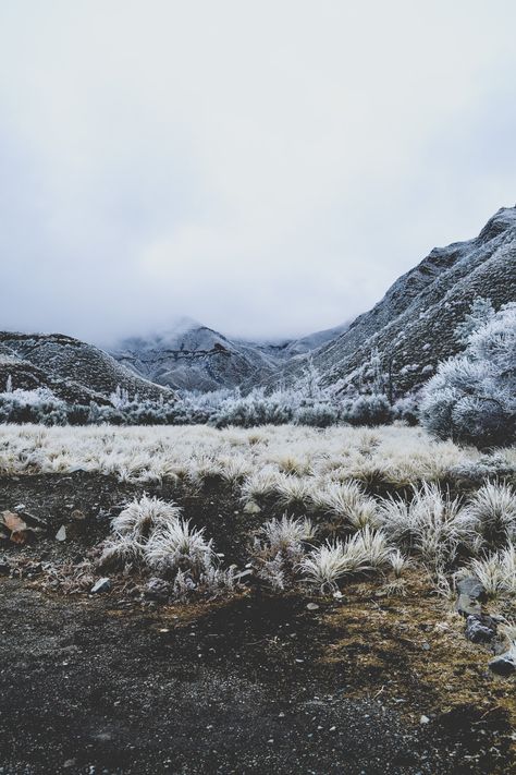 Cold Desert Landscape, Cold Desert, Meadow Garden, Wild At Heart, To Infinity And Beyond, Pretty Places, Nature Travel, Goa, Land Scape