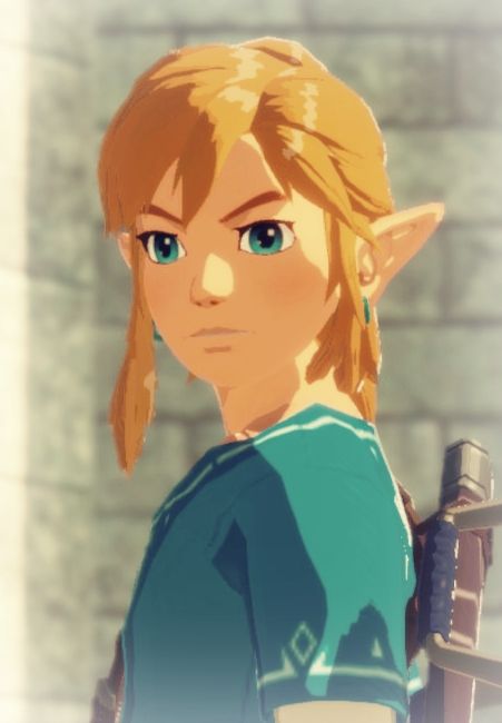 Botw Link Screenshots, Link Screenshots, Botw Screenshots, Hyrule Warriors Age Of Calamity, Age Of Calamity, Zelda Hyrule Warriors, Link Botw, Legend Of Zelda Characters, Botw Zelda