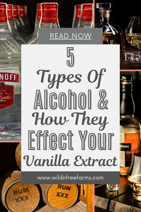 homemade vanilla extract Vanilla Flavoring Recipe, Make Extracts, Homemade Mexican Vanilla Extract, Extract Recipes How To Make, Whiskey Vanilla Extract, How To Make Your Own Vanilla Extract, Making Vanilla Extract With Bourbon, Homemade Vanilla Extract With Bourbon, Make Your Own Extracts