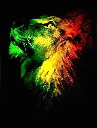 Rasta Lion #UnityByRastaEmpire A Lion, Lion, Yellow, Black