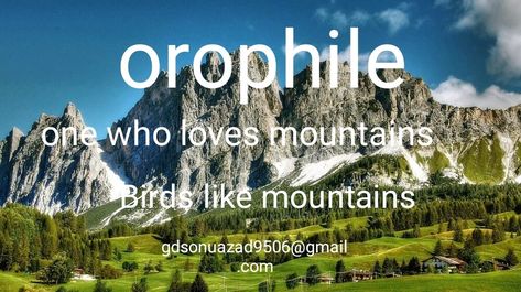 orophile. A person who loves mountains. A Person Who Loves Travelling, Orophile Quotes, Mountain Photo Ideas, Phobia Words, Climbing Quotes, Beautiful Words In English, Unique Words Definitions, Words That Describe Feelings, Uncommon Words