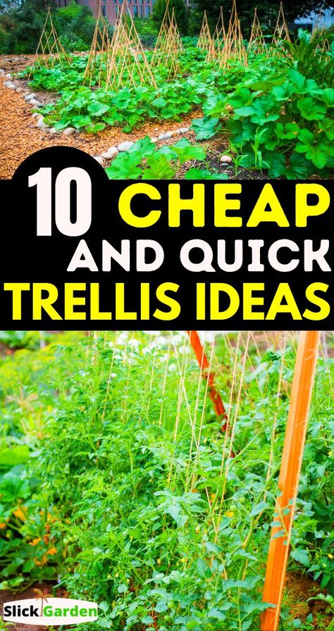 Cheap Garden Trellis, Cheap Trellis, Green Bean Trellis, Homemade Trellis, Diy Garden Trellis Ideas, Outdoor Trellis Ideas, Squash Trellis, Cucumber Trellis Diy, Bean Trellis