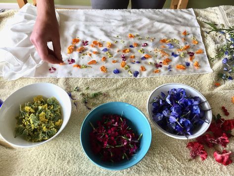 Hapa Zome (The Beauty of Hitting Flowers with Hammers) — String and Twig Hapa Zome, Sweet Potato Coconut Curry, India Flint, Coconut Curry Soup, Spiced Chickpeas, Grad Party Decorations, Curry Soup, Eco Printing, Coconut Curry