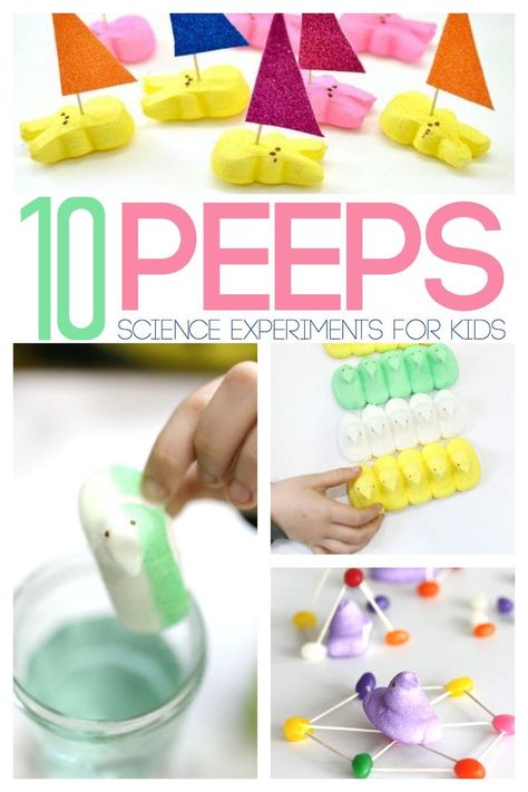 10 Peeps Experiments for Kids | Awesome activities and science ideas for Spring and Easter Peeps Science Experiment, Easter Science Experiments, Spring Science Experiments, Easter Stem, Easter Science, Spring Science, Easter Kindergarten, Science Experiments For Kids, Experiments For Kids