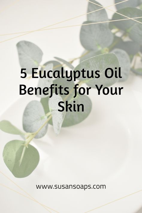 We all tend to think of Eucalyptus as being great for upper respiratory issues: sniffles, breathing easy, chest congestion etc. But Eucalyptus Essential Oil has some great skin care benefits as well and we cover them in this blog post! Susan's Soaps is a woman owned natural skin care company creating unique affordable handmade, all natural products. Our mission is to make you and your skin look good and feel good! Eucalyptus Oil Benefits For Skin, Benefits Of Eucalyptus Oil, Benefits Of Eucalyptus Essential Oil, Eucalyptus Essential Oil Uses, Eucalyptus Oil Benefits, Eucalyptus Oil Uses, Benefits Of Eucalyptus, Oil Benefits For Skin, Skin Care Company