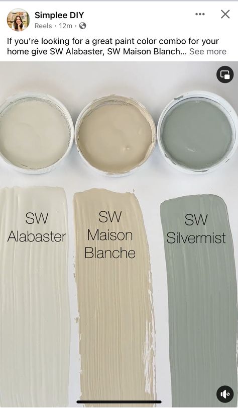 Clary Sage Coordinating Colors, Sw Maison Blanche, Cottage Core Paint Colors, Sw Halcyon Green, Sw Silvermist, Sw Greek Villa, Farmhouse Living Room Paint Colors, Sw Evergreen Fog, Halcyon Green