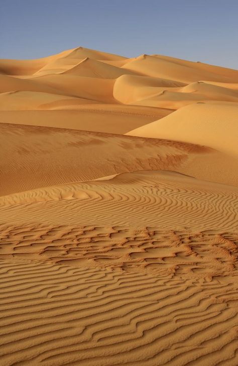 Oman: The hidden oasis of the Arabian Desert is heaven on Earth Rub Al Khali, Desert Abstract, Desert Pictures, Hidden Oasis, Arabian Desert, Desert Photography, Desert Life, Desert Oasis, Peru Travel