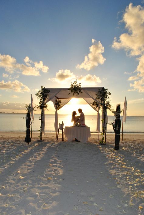 Maldives Wedding, Vision Board Examples, Maldives Beach, Easy Wedding Planning, Cute Engagement Photos, 0 Interest, Daisy Wedding, Pretty Beach, Resort And Spa