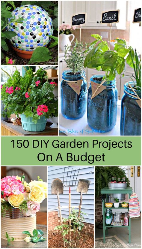 Diy Garden Upcycle, Garden Club Ideas Projects, Garden Diy Ideas On A Budget, Upcycled Garden Planters, Affordable Diy Home Projects, Ideas To Decorate Your Garden, Diy Garden Decor Recycled, Diy Outdoor Decor Cheap, Plant Diy Projects