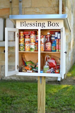 Take what you need, if you need, is the inspiration behind the “Blessing Box.” The idea is simple: people donate non-perishable, essential items, and place them inside the box so people… Blessing Box Ideas, Blessings Bags, Blessing Boxes, Eagle Scout Project Ideas, Give Box, Little Free Library Plans, Homeless Care Package, Little Free Pantry, Community Service Ideas