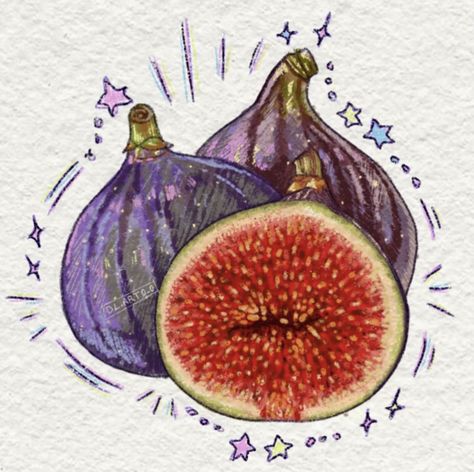 Fig Watercolor, Fig Drawing, Food Artwork, Food Illustration Art, Sketchbook Ideas, Art Diary, Gcse Art, Still Life Art, Fruit Art