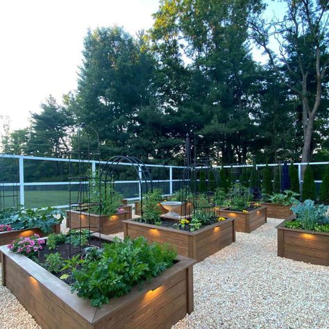 Raised Bed Garden Layout, Veggie Garden Layout, Backyard Raised Garden, Deer Fencing, Nest Ideas, Raised Garden Bed Ideas, Garden Bed Ideas, Garden Bed Layout, Raised Bed Garden Design