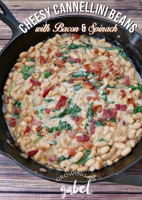 Cheesy Cannellini Beans Recipe with Bacon and Spinach Cannellini Beans Recipes, Cheap Recipe, Quick Delicious Dinner, Veg Meals, Beans With Bacon, Cannellini Bean, Bean Recipe, Dinners To Make, Fast Easy Meals