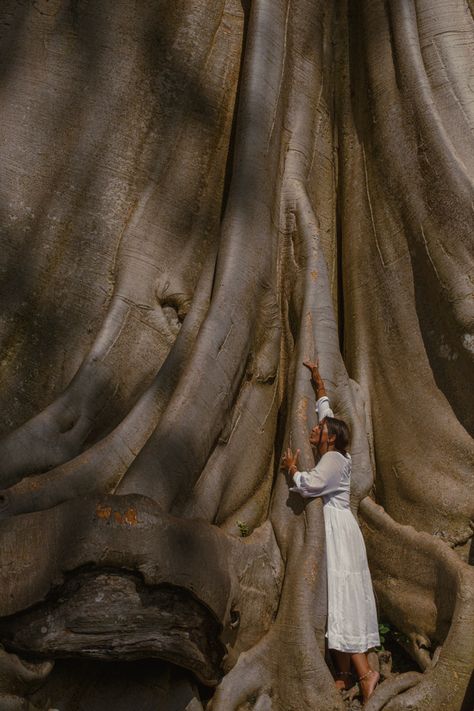 Shooting girl Bali Bayan ancient tree Jungle Life, Goddess Aesthetic, Ethereal Aesthetic, Healing Space, Ancient Tree, Season Of The Witch, Arte Inspo, Ethereal Art, Branding Photoshoot