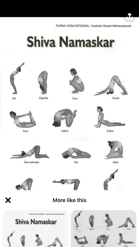 Sanduhrfigur Training, Sala Yoga, Hata Yoga, Integral Yoga, Yoga Facts, Yoga Flows, Daily Yoga Workout, Yoga Mantras, Iyengar Yoga