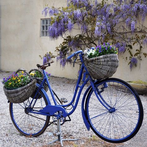 Pretty Bicycle, Bike Planter, Blue Bicycle, Blue Bike, Bicycle Decor, Old Bicycle, Outdoor Canvas, Bicycle Art, Outdoor Wall Art