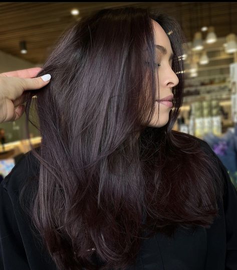 Deep Brown Hair With Red Undertones, Obsidian Brunette, Dark Brown With Purple Tint, Dark Black Cherry Hair, Dark Rich Brown Hair Color, Deep Cherry Brown Hair, Dark Chocolate Red Hair, Eggplant Hair Color Dark, Black Plum Hair Color