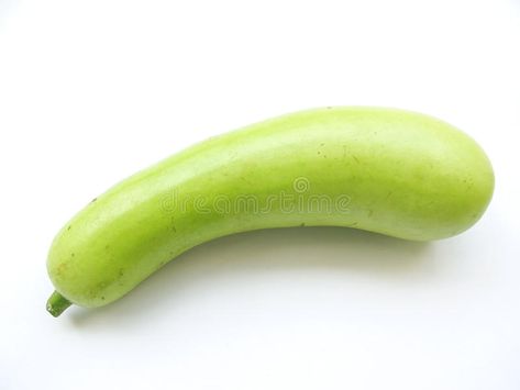 Bottle gourd. Vegetable isolated on white background , #spon, #Vegetable, #gourd, #Bottle, #background, #white #ad Gourd Vegetable, Herbal Toothpaste, Asian Grocery Store, Vegetable Pictures, Bottle Gourd, Asian Grocery, Frozen Vegetables, Garden Kits, Stir Fries