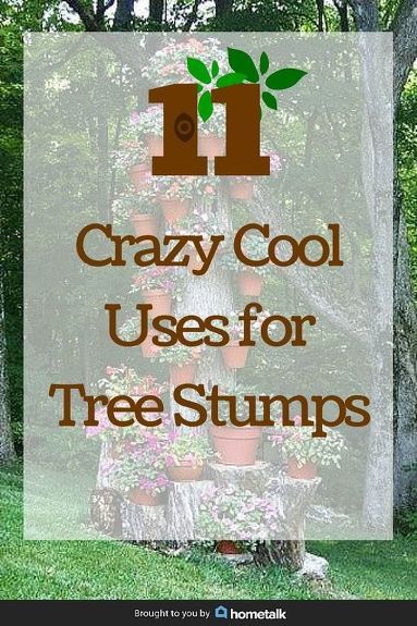 Upcycling, What To Do With Tree Stumps Ideas, Landscaping With Tree Stumps, Hollowed Out Tree Stump, Wood Stump Ideas Outdoor, Wood Stumps Ideas, Stump Ideas Landscaping, What To Do With A Tree Stump, Things To Do With Tree Stumps