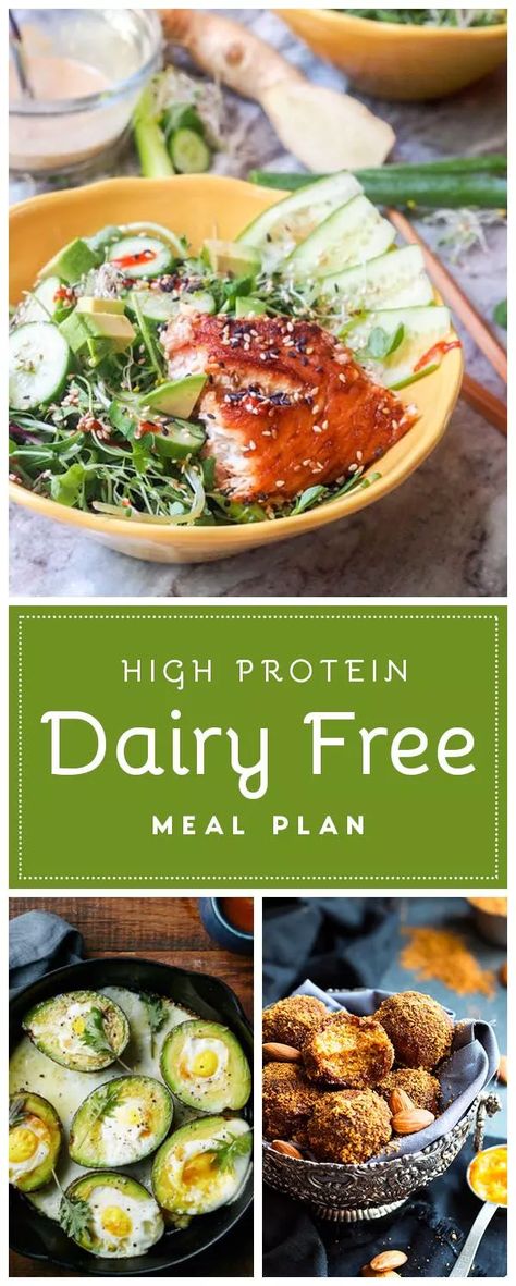 High Protein Dairy Free Meals | Non-Dairy Recipes & Tips Dairy Free Meal Ideas, High Protein Dairy Free, Lunch Snack Ideas, Protein Dairy Free, Dairy Free Meal, Dairy Free Meals, Dairy Free Lunch, Protein Meal Plan, Dairy Free Protein