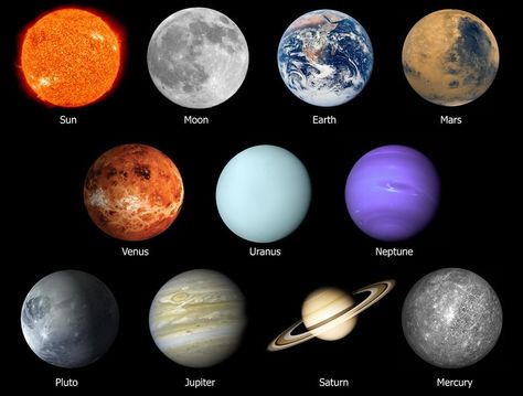 Related image Eight Planets, Mercury Planet, Planets Images, 8 Planets, All Planets, Astrology Planets, Gas Giant, Solar System Planets, Humor Videos