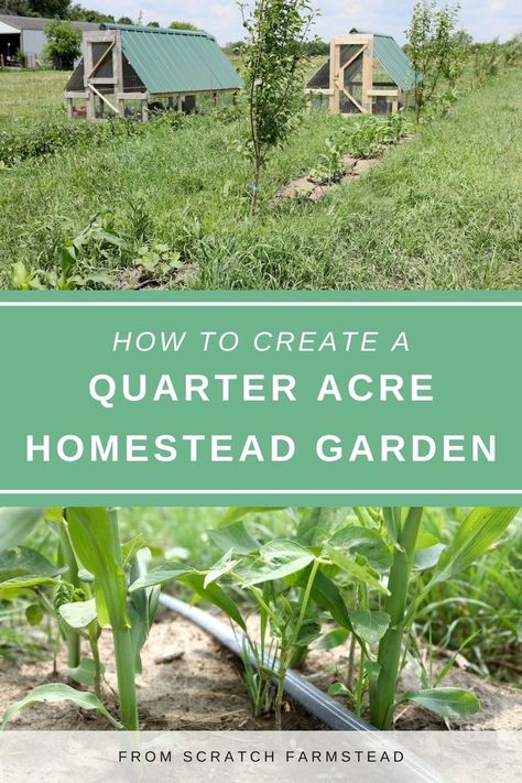 Homestead Garden Plan - Year Round Food on 1/4 Acre - From Scratch Farmstead Backyard Farming Garden, Half Acre Homestead, Half Acre Homestead Layout, Quarter Acre Homestead Layout, Homestead Organization, Homesteading Aesthetic, Homesteading Garden, Self Sufficient Living, Homestead Garden Layout