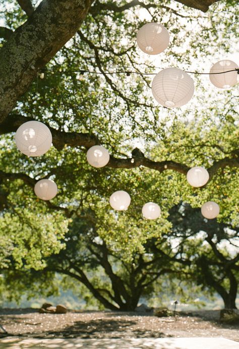 White Lantern Decor, Lanterns In Trees, Outdoor Paper Lanterns, White Paper Lanterns, Paper Lanterns Wedding, White Lanterns, Wedding Lanterns, Salou, Winery Wedding