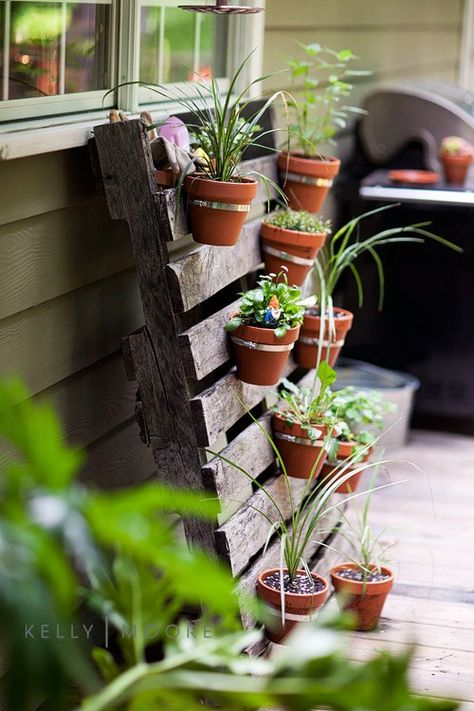 40 Genius Space-Savvy Small Garden Ideas and Solutions - Having a small yard or outdoor living space does not mean that you can’t have a great garden. There are a number of ways that you can turn your small space into a large garden area with little work and in most cases, with little money out of pocket. Vertical Pallet Garden, Vertical Herb Garden, Vertical Garden Diy, Pallet Planter, Garden Indoor, Vertical Gardens, Pallet Garden, Pallets Garden, Pallet Ideas