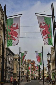 St Mary Street, Cardiff http://lovewales.tumblr.com/image/76753609293 Welsh Heritage, Cardiff City Centre, Wales Flag, Cardiff Bay, Welsh Rugby, Wales Travel, Cardiff Wales, Cardiff City, Wales Uk