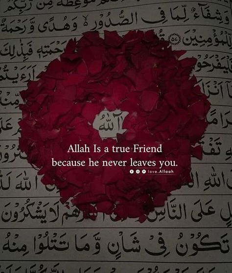 LOVE.ALLAAH on Instagram: “Everyone leaves, but... @love.allaah . . #Bismillah #deen #islam #islamicquote #islamicquote #islamicposts #islamicposts #islamicreminder…” Allah's Love Quotes, Quotes About Allah Love, Allah Love Quotes In Urdu, Love Allah Quotes, Alhamdulillah Dp, Allah Quotes Wallpaper, Quotes For Allah, Allah Quotes Aesthetic, Love Islamic Quotes