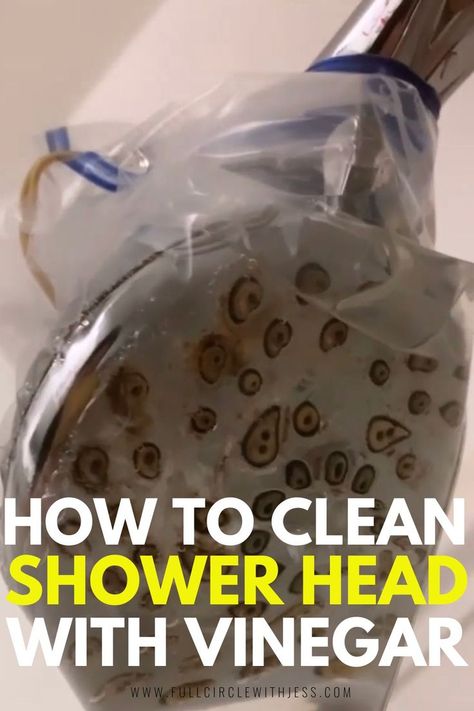 how to clean a shower head without removing it Clean A Shower Head, Hard Water Remover, Shower Head Cleaner, Clean Girl Aesthetic Makeup, Clean Supplies, Best Shower Cleaner, Cleaning Shower Glass, Cleaning Shower Tiles, Homemade Shower Cleaner